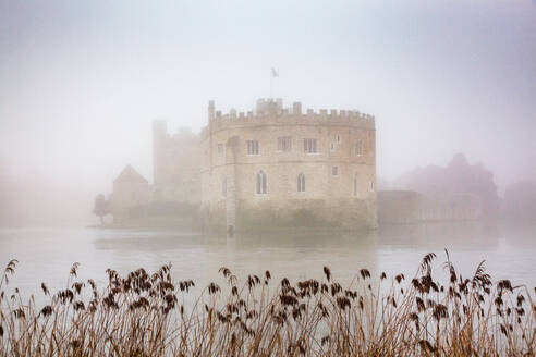 Nebliger Tag im Park von Leeds Castle, Kent, England, Vereinigtes Königreich, Europa - RHPLF19928