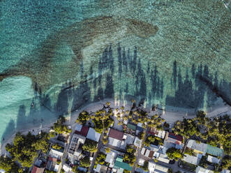 Häuser inmitten von Bäumen auf der Insel Thulusdhoo, Kaafu-Atoll, Malediven - KNTF06255