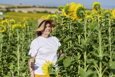 Ältere Frau mit Strohhut in einem Sonnenblumenfeld an einem sonnigen Tag - KIJF03990