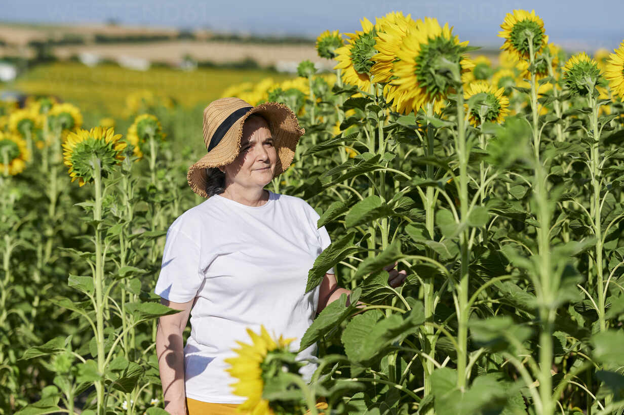 https://us.images.westend61.de/0001574631pw/senior-woman-wearing-straw-hat-standing-in-sunflower-field-during-sunny-day-KIJF03990.jpg