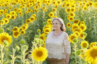 Senior woman looking away while standing amidst sunflower field - KIJF03996