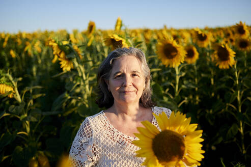 Lächelnde ältere Frau in einem Sonnenblumenfeld bei Sonnenuntergang stehend - KIJF04000