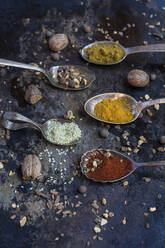 Spoons with various spices and legumes - AFVF09000