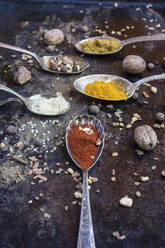 Spoons with various spices and legumes - AFVF09001