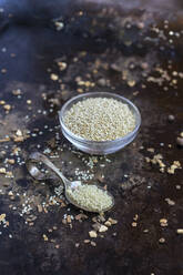 Spoon and bowl of white legumes - AFVF09004