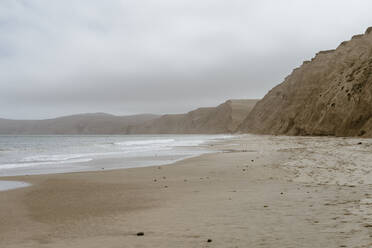 Beach at Point Reyes, California, USA - AFVF09020