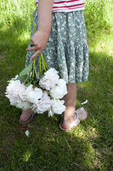 Low section of little girl carrying bunch of white blooming peonies - GISF00818