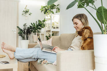 Freiberuflerin arbeitet am Laptop mit Cocker Spaniel zu Hause - VPIF04176