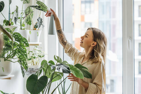 Beautiful woman spraying water on houseplants at home - VPIF04191