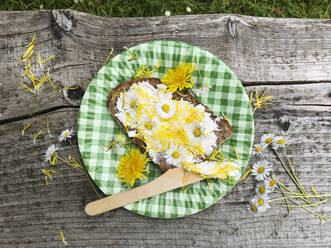 Brotscheibe mit Hüttenkäse und essbaren Blumen auf kariertem Pappteller - GWF07045