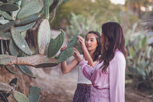 Asiatische Mutter und Tochter, die einen Kaktus berühren. - CAVF94323