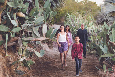 Eine vierköpfige gemischtrassige Familie geht auf einem Kakteenpfad spazieren. - CAVF94324