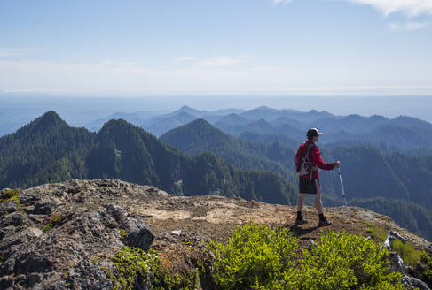 Ein Mann besteigt einen Berg in der Colonel Bob Wilderness auf der Olympic Peninsula, WA. - CAVF94390
