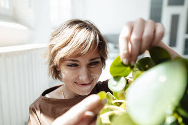 Businesswoman smiling while looking at plant in office - JOSEF04962