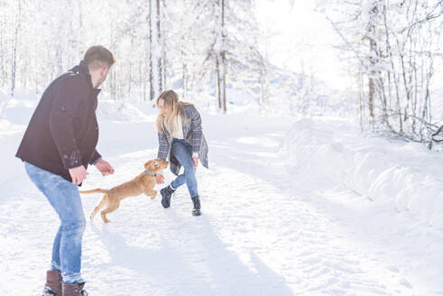 Freund und Freundin spielen mit Hund im Schnee im Urlaub - MEF00107