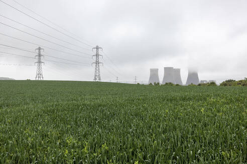 UK, England, Rugeley, Field with electricity pylons and cooling towers in background - WPEF04932