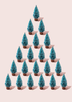 Studio shot of coniferous trees arranged into triangle shape - FLMF00524