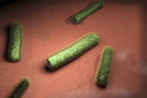Dreidimensionale Darstellung von grünen Bakterien auf menschlichem Gewebe - SPCF01443
