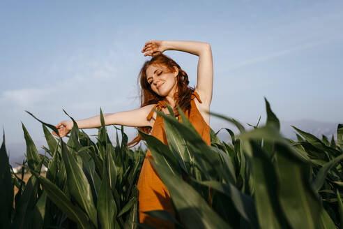 Woman with hand raised standing in corn field - TCEF01972