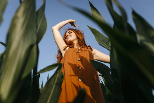 Smiling young woman enjoying in corn field - TCEF01973