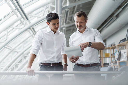 Male professional team reading document while standing in office - DIGF16064