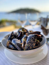 Bowl of ready-to-eat mussels with gravy - AMF09207