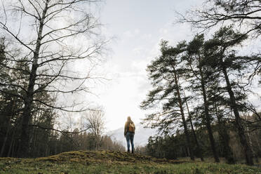 Rear view of female explorer looking at view while exploring forest during vacation - MASF24563