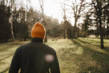 Rear view of man exploring in forest on sunny day - MASF24577