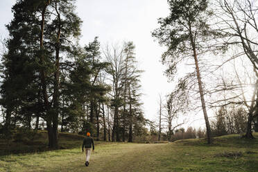 Rückansicht eines männlichen Forschers, der im Wald spazieren geht - MASF24580