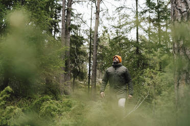 Älterer Mann schaut nach oben, während er zwischen Bäumen im Wald forscht - MASF24605