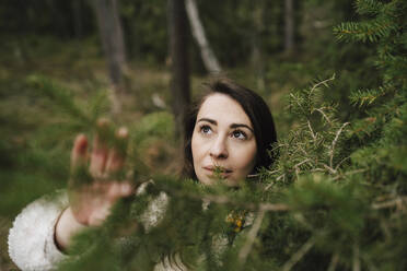 Junge Frau schaut an einer Pflanze im Wald hoch - MASF24606