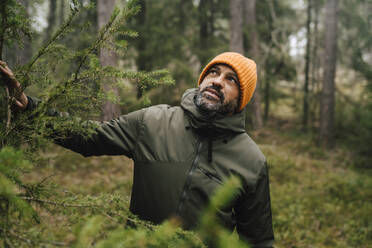 Mature male explorer looking up while hiking in forest - MASF24607