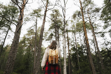 Rear view of female hiker exploring forest during vacation - MASF24613