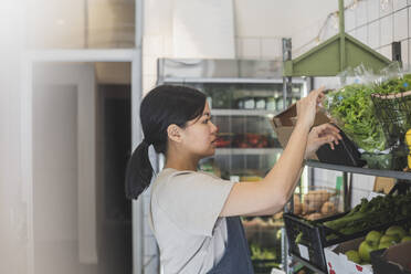 Asian female entrepreneur arranging vegetables on rack at store - MASF25039