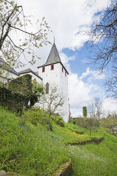Deutschland, Nordrhein-Westfalen, Kronenburg, Mittelalterliche Kirche St. Johann Baptist im Frühling - GWF07070