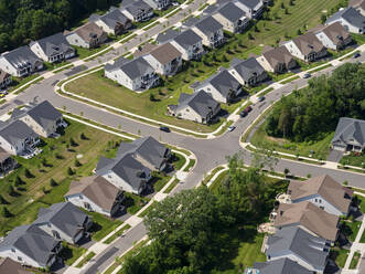 USA, Virginia, Manassas, Aerial view of suburban homes - BCDF00591