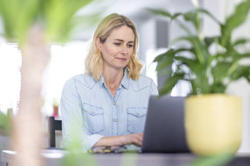 Mature woman using laptop on table at home - WPEF05012