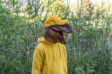 Boy wearing dinosaur mask and cap while standing in grass - VPIF04262