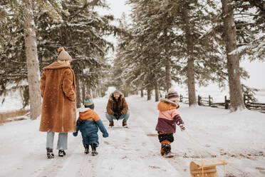 Kanada, Ontario, Eltern mit Kindern (12-17 Monate, 2-3) auf Winterwanderung - ISF24636