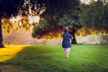 Kleiner Junge, der nachmittags zwischen beleuchteten Pfefferbäumen läuft. - CAVF94408