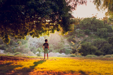 Ein Junge steht nachmittags unter einem großen, von hinten beleuchteten Pfefferbaum. - CAVF94409