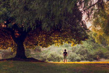 Ein Junge steht nachmittags unter einem großen, von hinten beleuchteten Pfefferbaum. - CAVF94411
