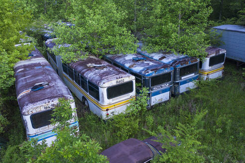 Abandoned Buses in Overgrown Forest, Rural Tennessee - CAVF94460