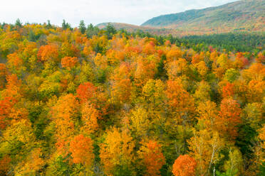 Bunter Herbstwald in den Adirondacks von oben - CAVF94492