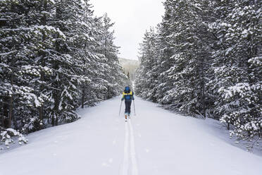 Junge Frau beim Skitourengehen im Hochgebirge von Colorado - CAVF94598