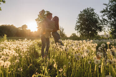 Junges Paar umarmt einander stehend inmitten von Blumen auf einer Wiese bei Sonnenuntergang - VPIF04422
