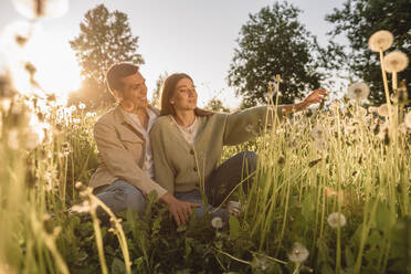 Glückliches junges Paar genießt den Sonnenuntergang inmitten von Blumen auf einer Wiese - VPIF04424