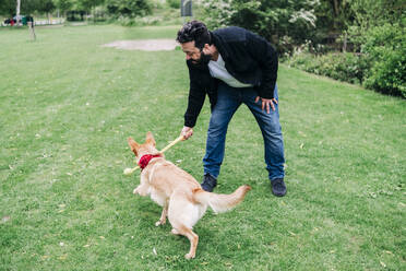 Mann hält Stock beim Spielen mit Hund im Park - ASGF00761