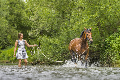 Junge Frau, die ein Pferd an der Longe führt und im Wasser plantscht - STSF02983