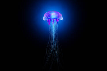 Three dimensional render of glowing jellyfish - SPCF01493